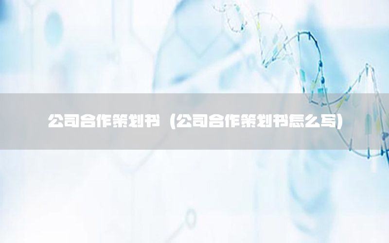 公司合作策划书（公司合作策划书怎么写）
