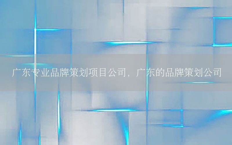 广东专业品牌策划项目公司，广东的品牌策划公司