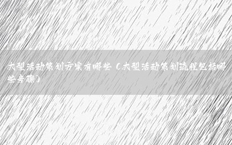 大型活动策划方案有哪些（大型活动策划流程包括哪些步骤）