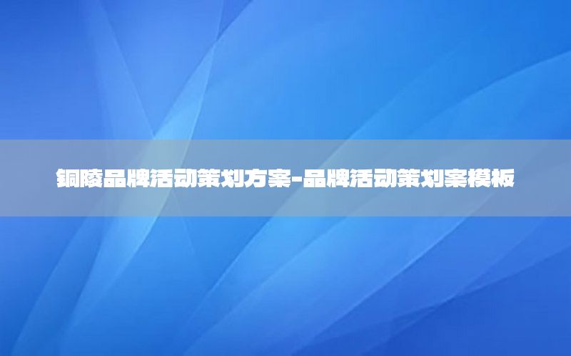 铜陵品牌活动策划方案-品牌活动策划案模板