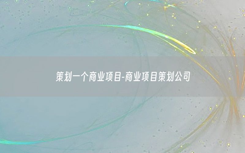策划一个商业项目-商业项目策划公司