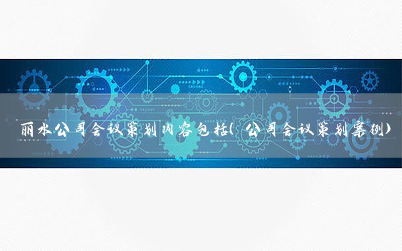 丽水公司会议策划内容包括（公司会议策划案例）