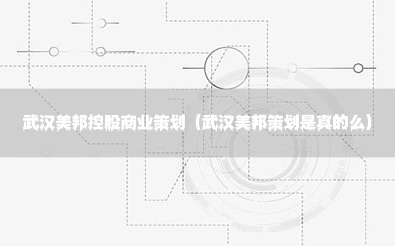武汉美邦控股商业策划（武汉美邦策划是真的么）