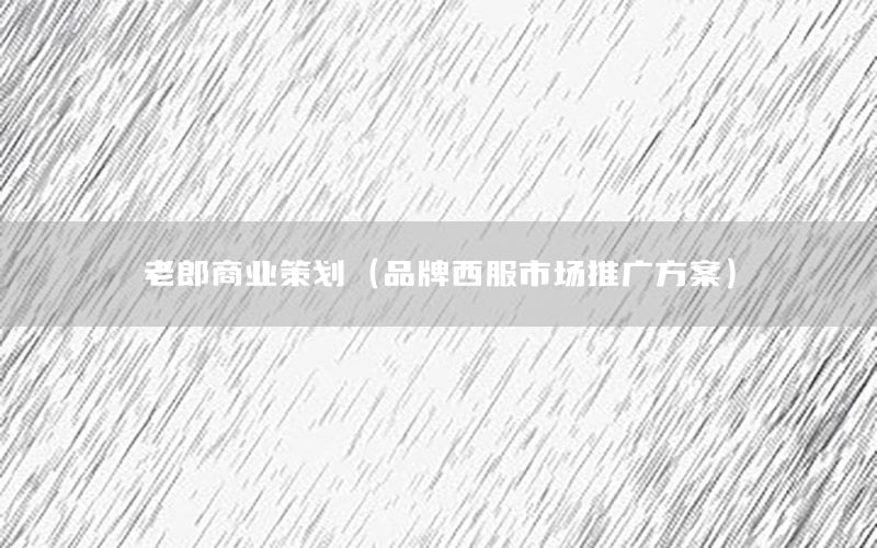 老郎商业策划（品牌西服市场推广方案）