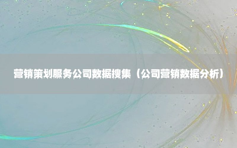 营销策划服务公司数据搜集（公司营销数据分析）