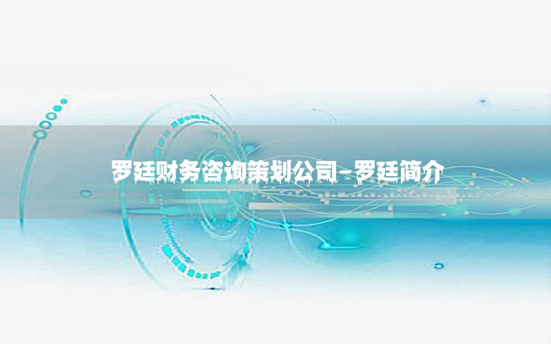 罗廷财务咨询策划公司-罗廷简介