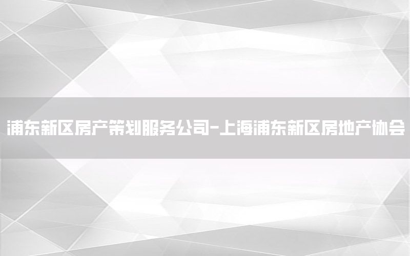 浦东新区房产策划服务公司-上海浦东新区房地产协会