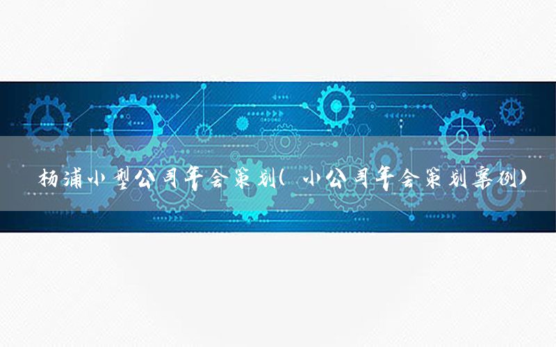 杨浦小型公司年会策划（小公司年会策划案例）