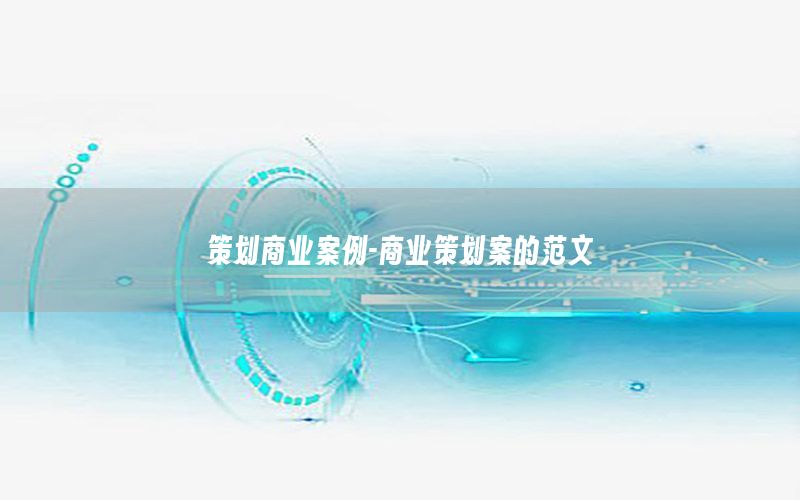 策划商业案例-商业策划案的范文