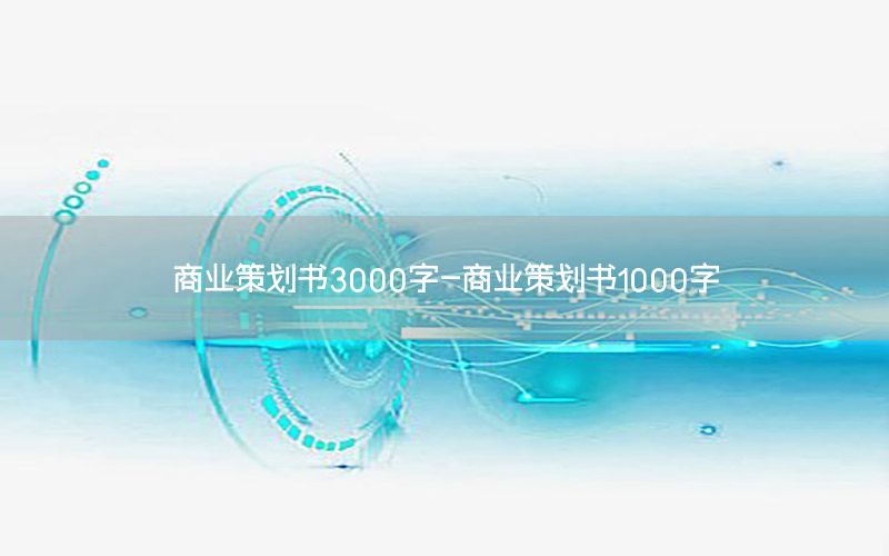 商业策划书3000字-商业策划书1000字