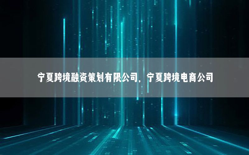 宁夏跨境融资策划有限公司，宁夏跨境电商公司