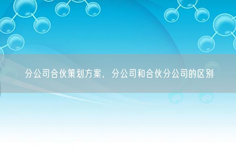 分公司合伙策划方案，分公司和合伙分公司的区别
