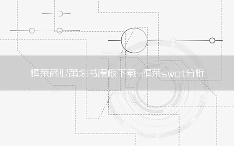 榨菜商业策划书模板下载-榨菜swot分析