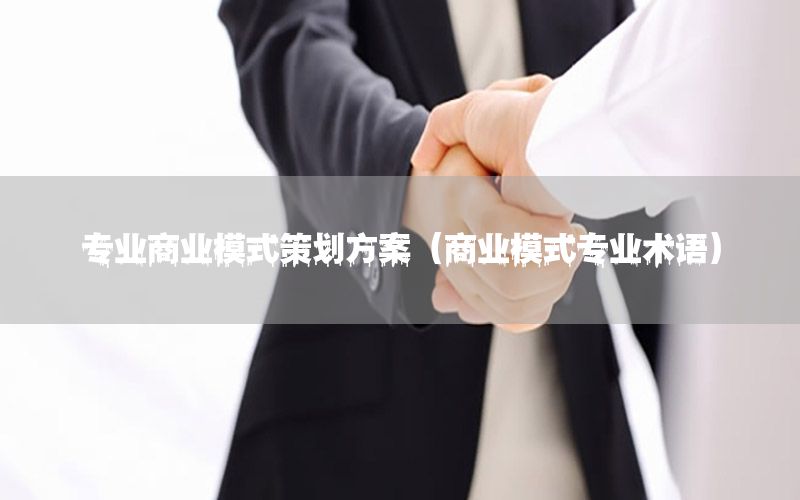专业商业模式策划方案（商业模式专业术语）