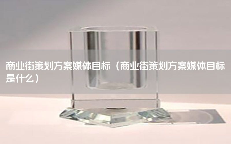 商业街策划方案媒体目标（商业街策划方案媒体目标是什么）