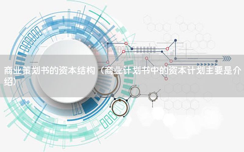 商业策划书的资本结构（商业计划书中的资本计划主要是介绍）