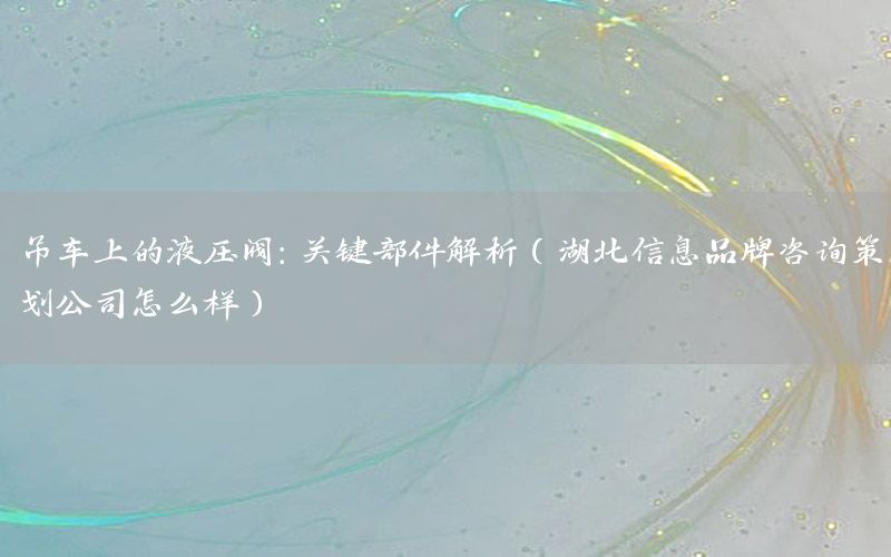 吊车上的液压阀：关键部件解析（湖北信息品牌咨询策划公司怎么样）