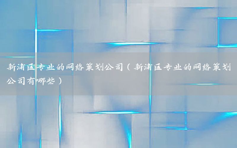 新浦区专业的网络策划公司（新浦区专业的网络策划公司有哪些）