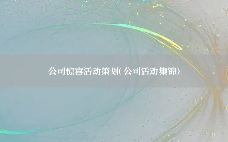 公司惊喜活动策划（公司活动集锦）