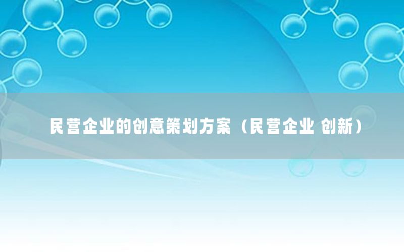 民营企业的创意策划方案（民营企业 创新）