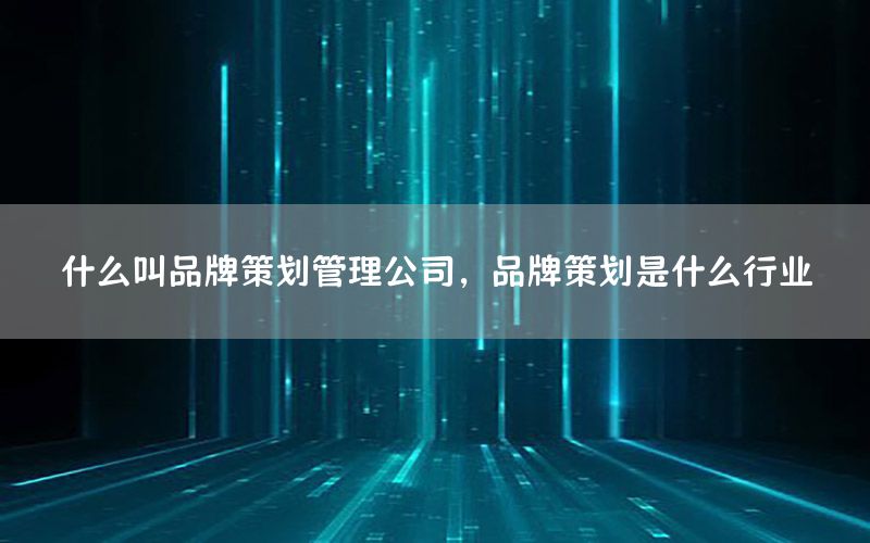 什么叫品牌策划管理公司，品牌策划是什么行业