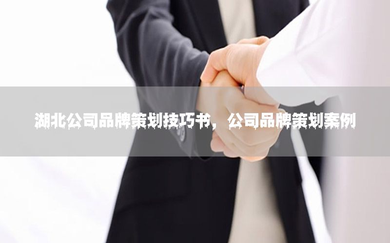 湖北公司品牌策划技巧书，公司品牌策划案例