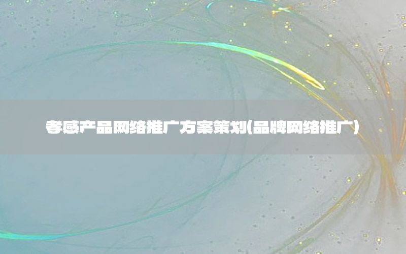 孝感产品网络推广方案策划（品牌网络推广）