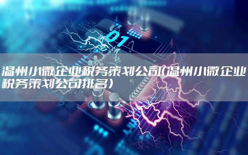 温州小微企业税务策划公司（温州小微企业税务策划公司排名）