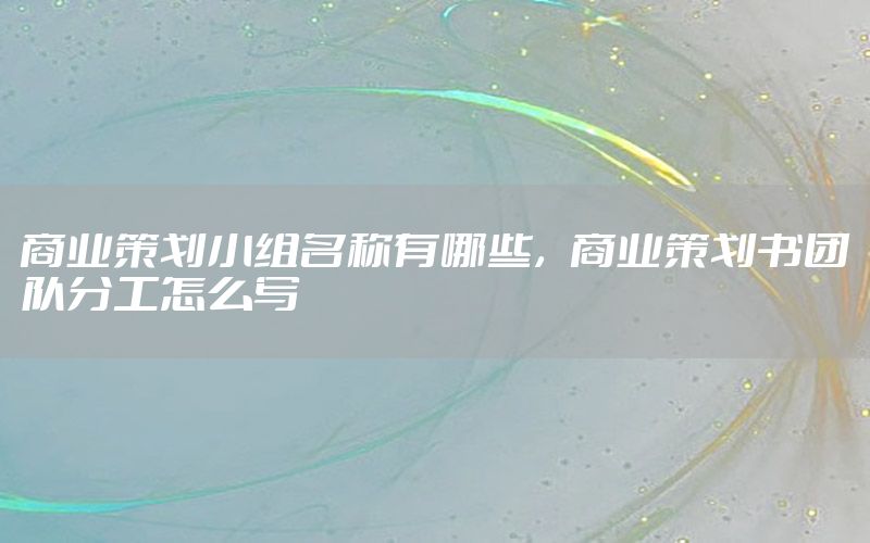 商业策划小组名称有哪些，商业策划书团队分工怎么写