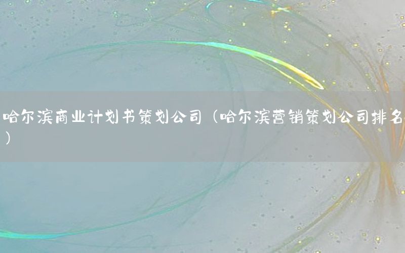 哈尔滨商业计划书策划公司（哈尔滨营销策划公司排名）