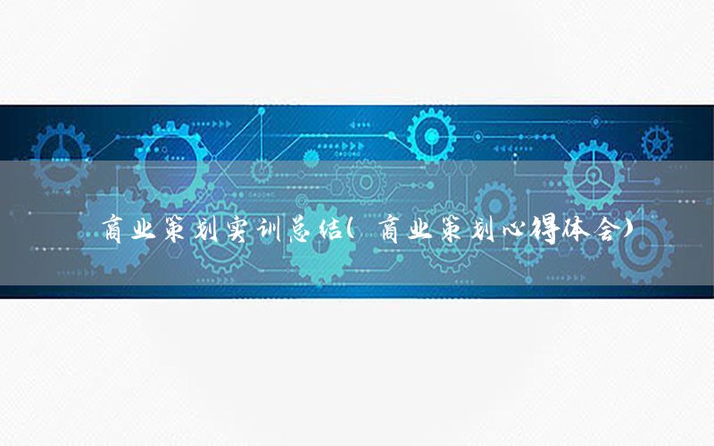 商业策划实训总结（商业策划心得体会）