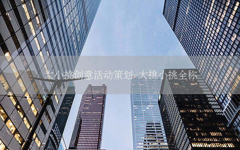 大小挑创意活动策划-大挑小挑全称