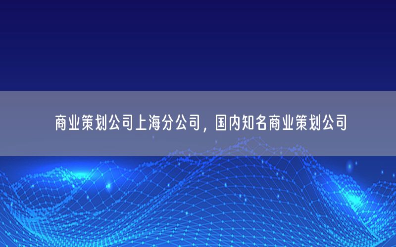 商业策划公司上海分公司，国内知名商业策划公司