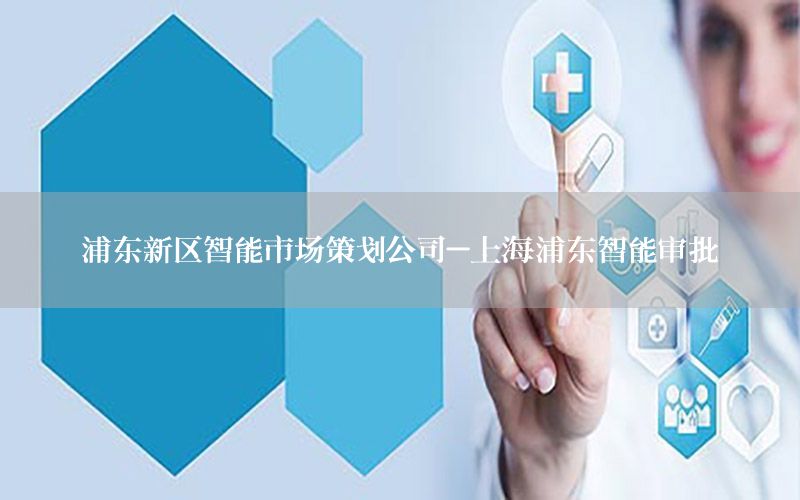 浦东新区智能市场策划公司-上海浦东智能审批