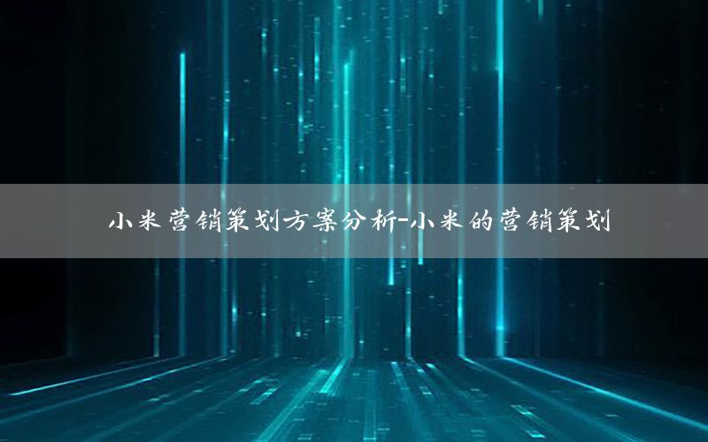 小米营销策划方案分析-小米的营销策划