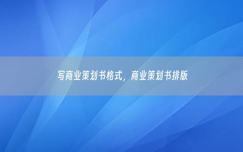 写商业策划书格式，商业策划书排版