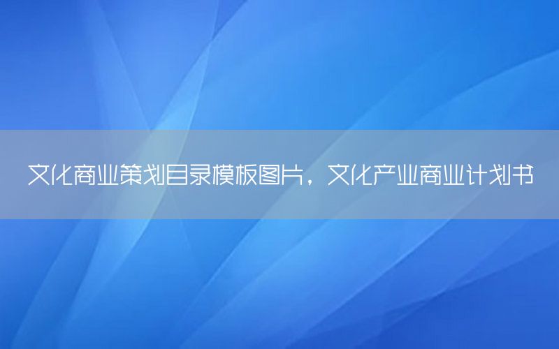文化商业策划目录模板图片，文化产业商业计划书