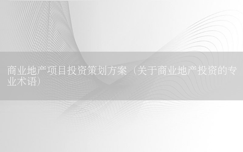 商业地产项目投资策划方案（关于商业地产投资的专业术语）