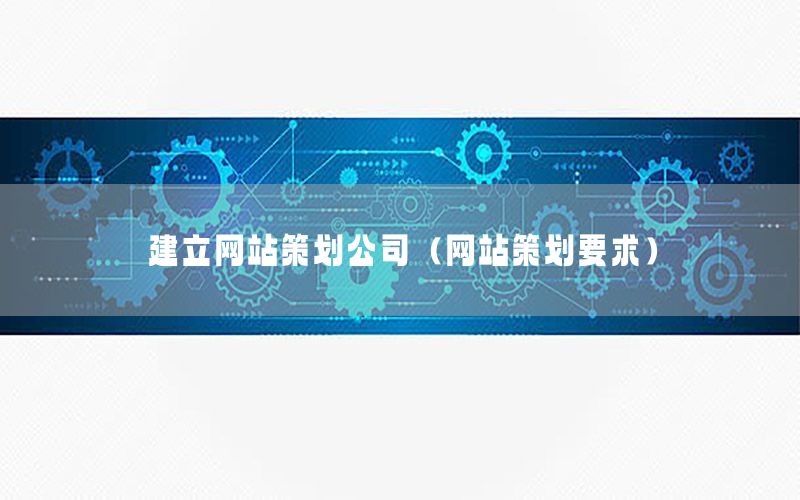 建立网站策划公司（网站策划要求）