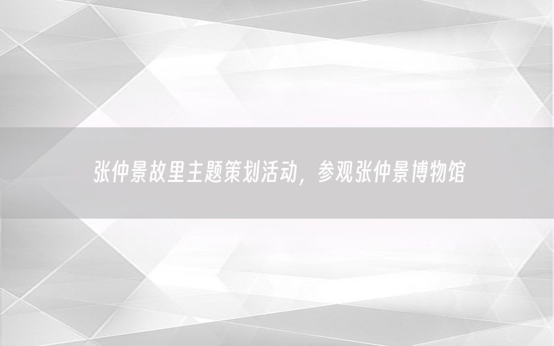 张仲景故里主题策划活动，参观张仲景博物馆