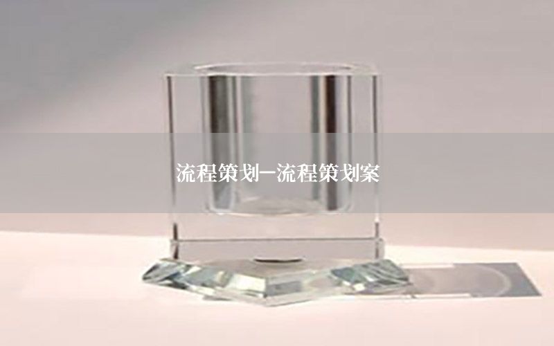 流程策划-流程策划案