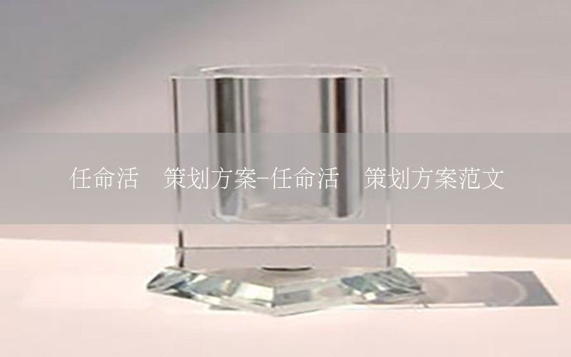任命活动策划方案-任命活动策划方案范文