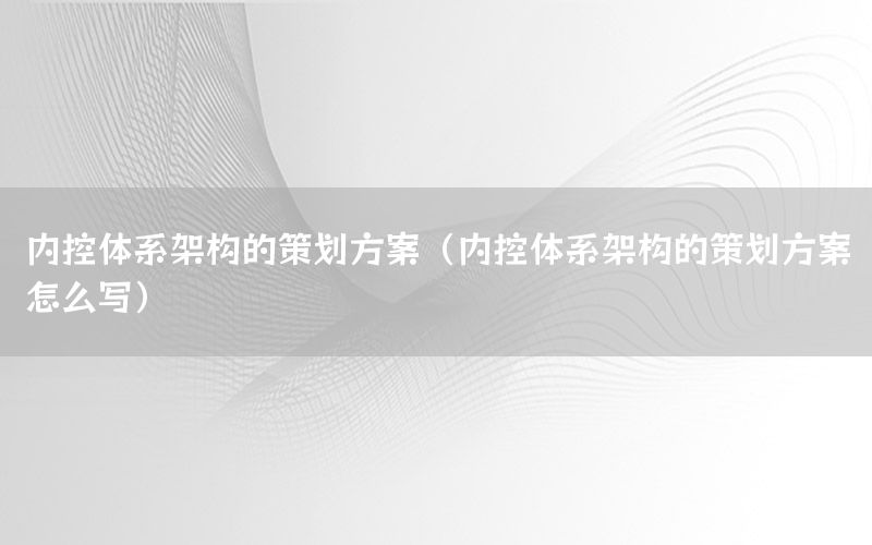 内控体系架构的策划方案（内控体系架构的策划方案怎么写）
