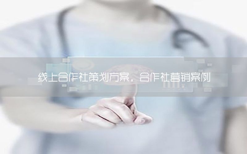 线上合作社策划方案，合作社营销案例