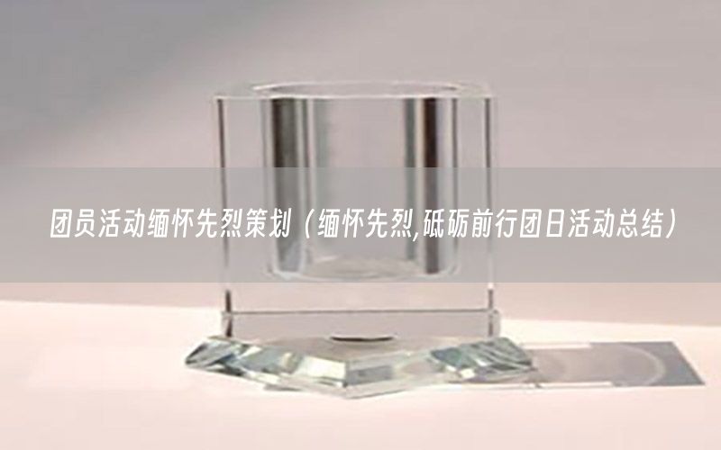 团员活动缅怀先烈策划（缅怀先烈,砥砺前行团日活动总结）