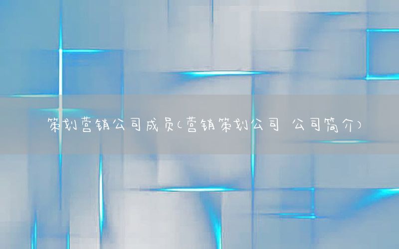 策划营销公司成员（营销策划公司 公司简介）