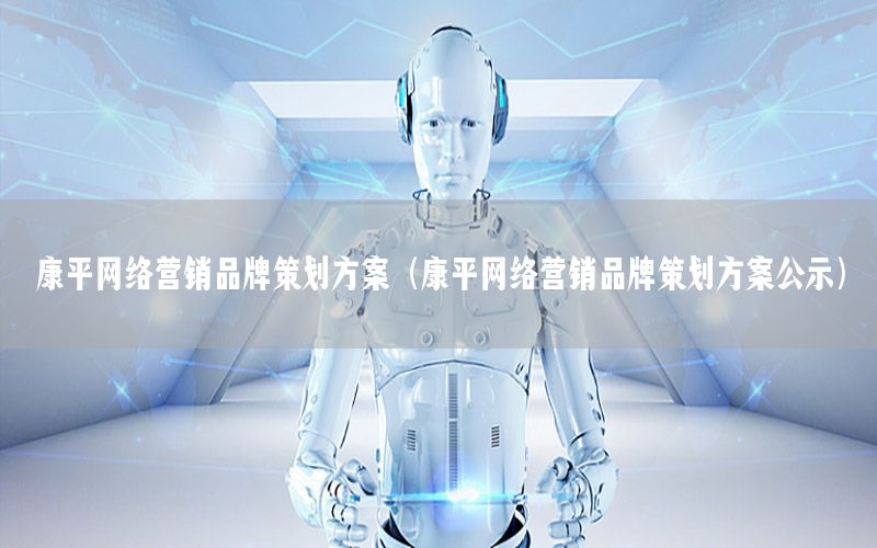 康平网络营销品牌策划方案（康平网络营销品牌策划方案公示）