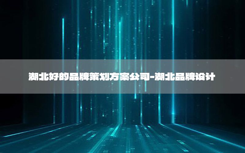 湖北好的品牌策划方案公司-湖北品牌设计