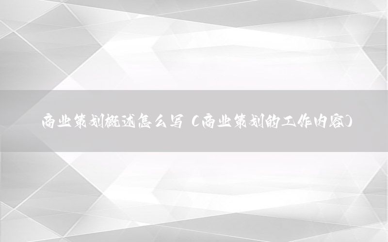 商业策划概述怎么写（商业策划的工作内容）