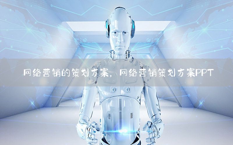 网络营销的策划方案，网络营销策划方案PPT